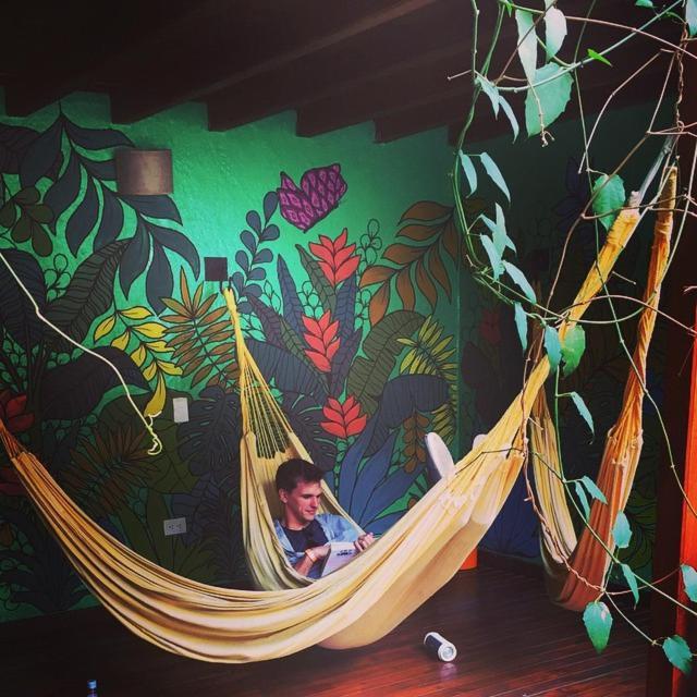 Casa Kiwi Hostel Medellin Luaran gambar