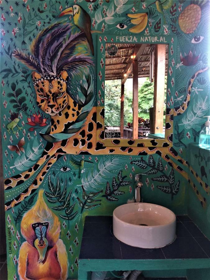 Casa Kiwi Hostel Medellin Luaran gambar